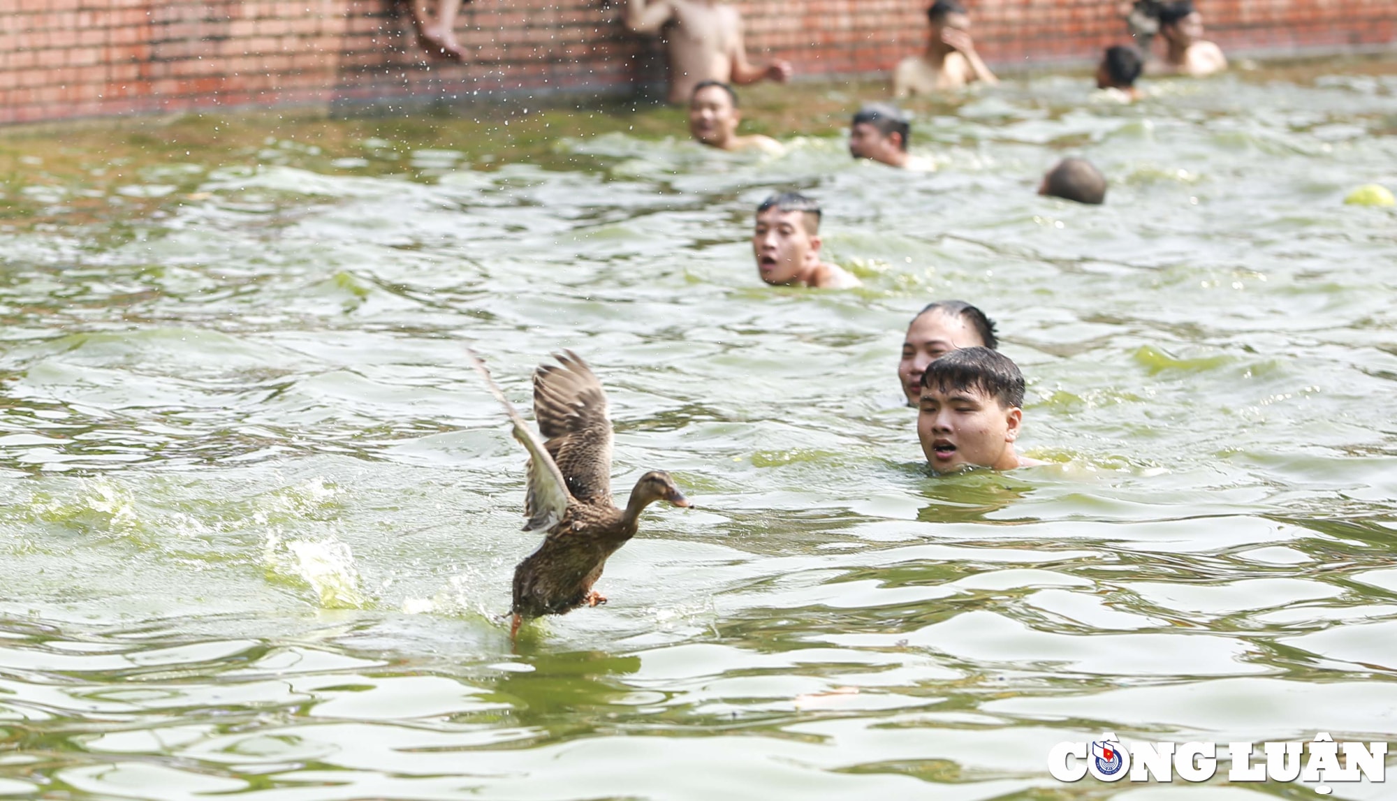 ha noi doc dao tro choi nem buoi bat vit tai ao chua trieu khuc hinh 12