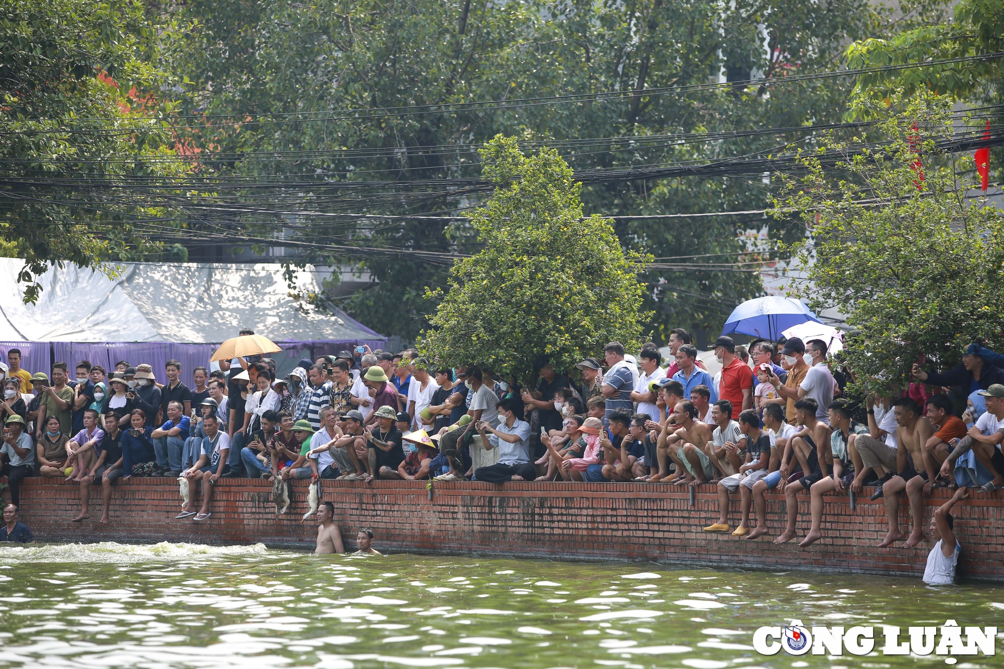 ha noi doc dao tro choi nem buoi bat vit tai ao chua trieu khuc hinh 8