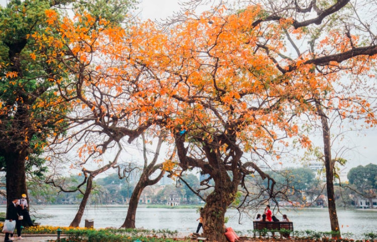 viet nam la diem den so mot chau a nam 2022 hinh 1