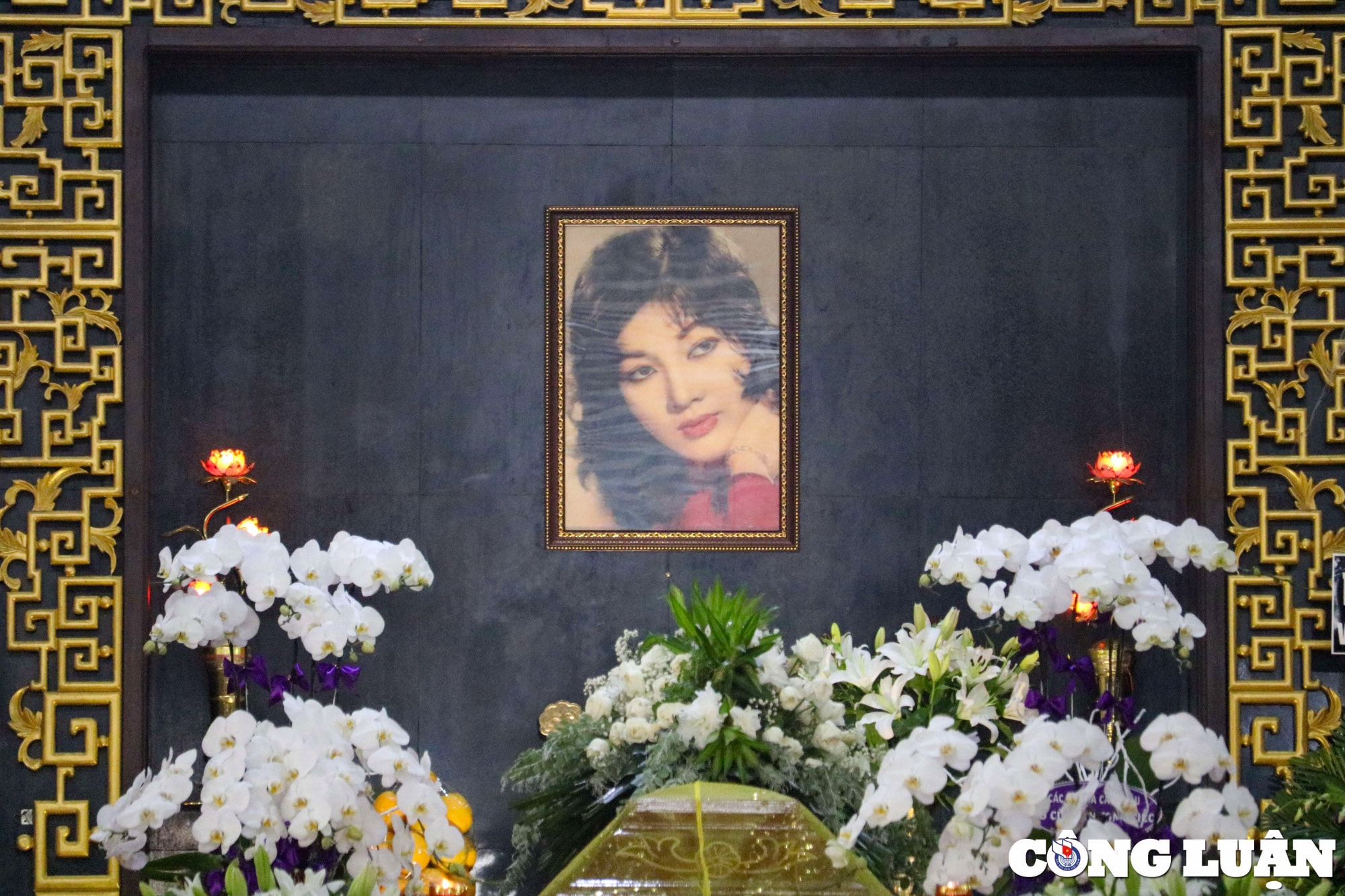 tang le cua co nghe si tham thuy hang hinh 4