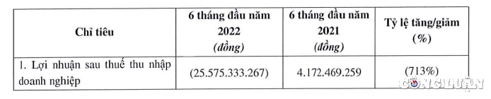 danameco dnm chuyen tu lai thanh lo 26 ty dong sau soat xet bctc ban nien 2022 hinh 1