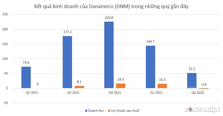 danameco dnm chuyen tu lai thanh lo 26 ty dong sau soat xet bctc ban nien 2022 hinh 3