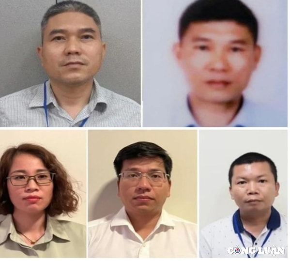 vi pham dau thau thiet bi giao duc tai ha tinh nhung cong ty nao lien quan hinh 1
