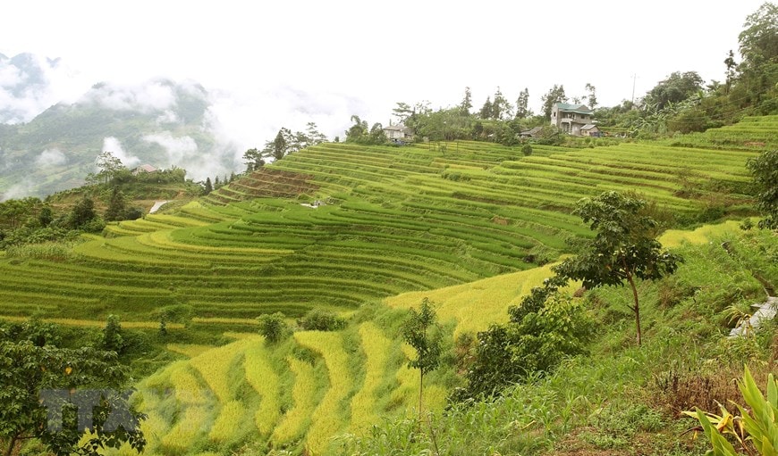 doi moi tu duy tam nhin xay dung lao cai tro thanh diem den thien nhien an toan hap dan va khac biet hinh 1