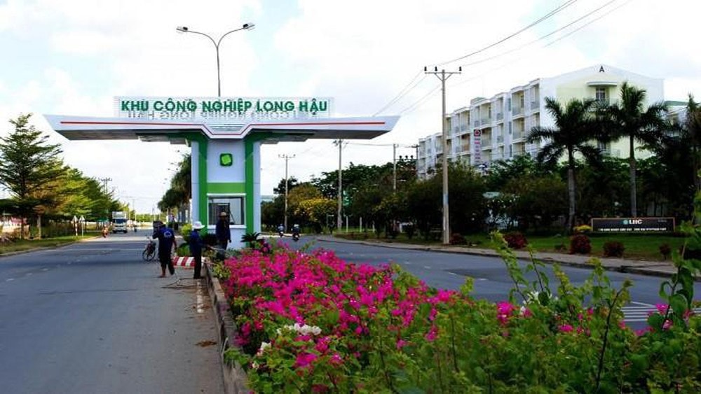 doanh thu quy ii giam 58 loi nhuan lao doc 813 long hau lhg bi hose dua vao dien canh bao hinh 1