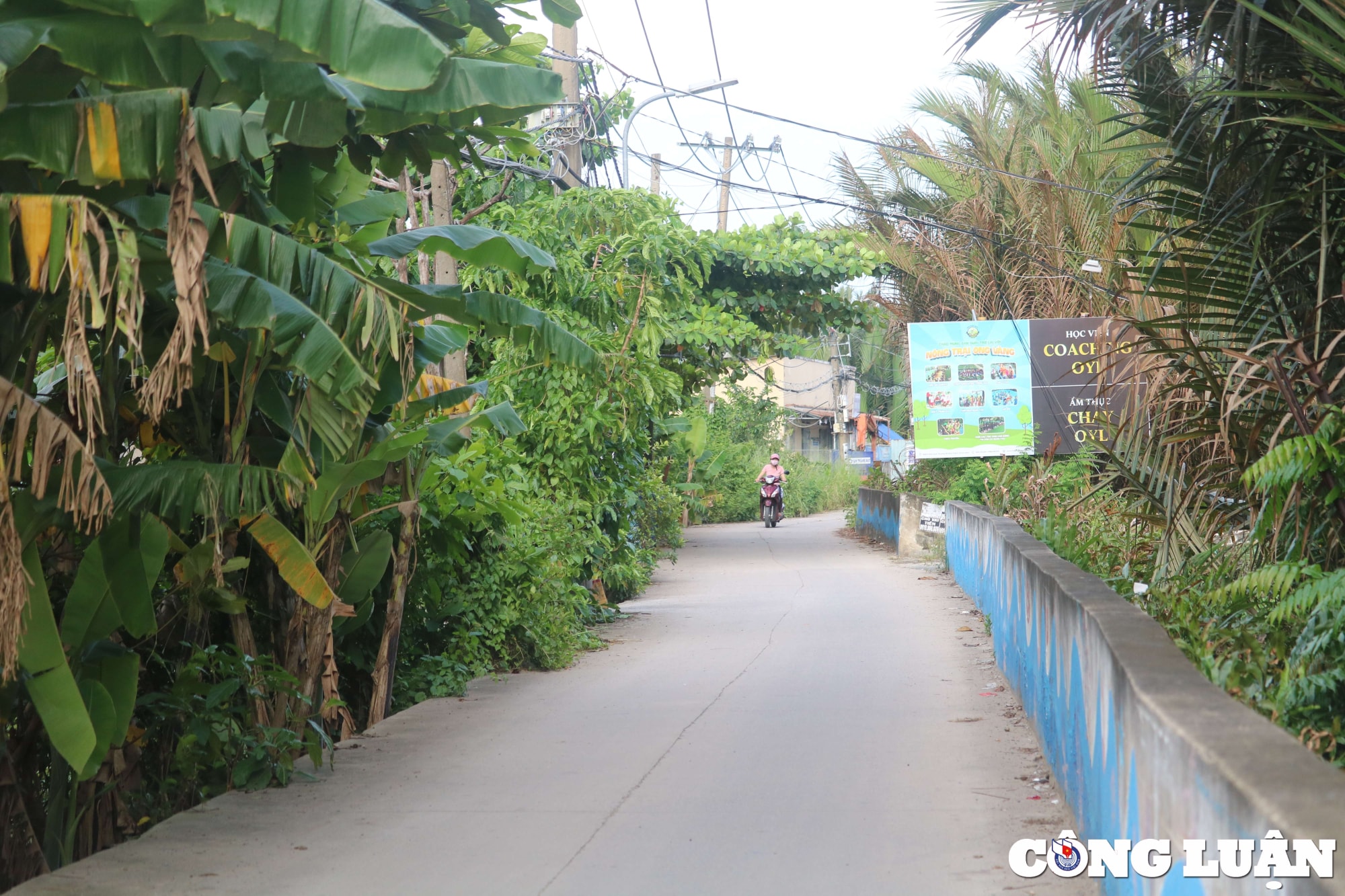 tp hcm can canh doi song kho tin cua nguoi dan o ban dao thanh da hinh 16