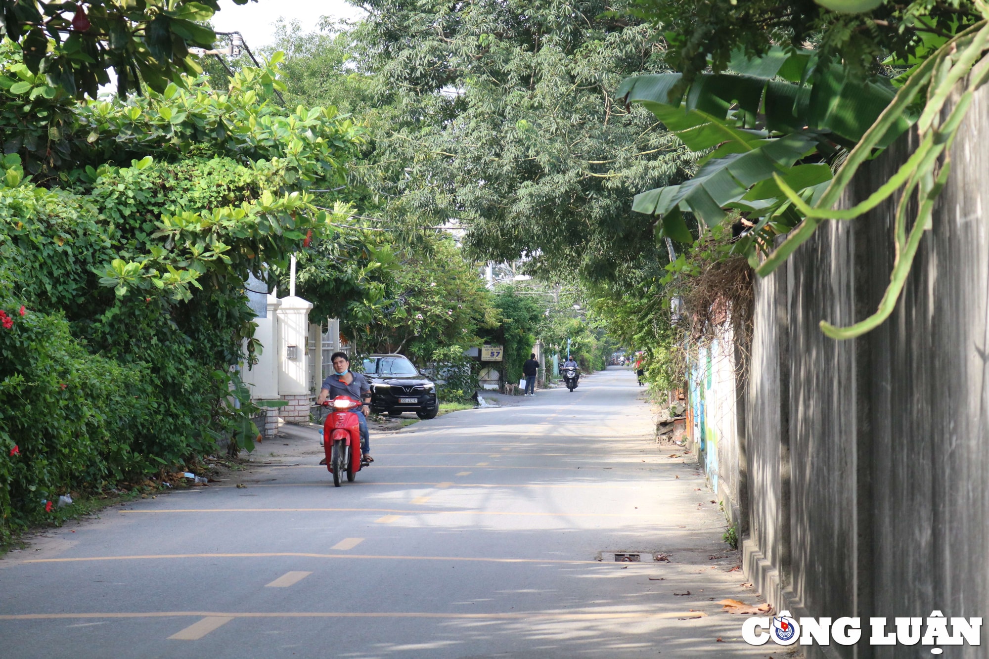 tp hcm can canh doi song kho tin cua nguoi dan o ban dao thanh da hinh 1