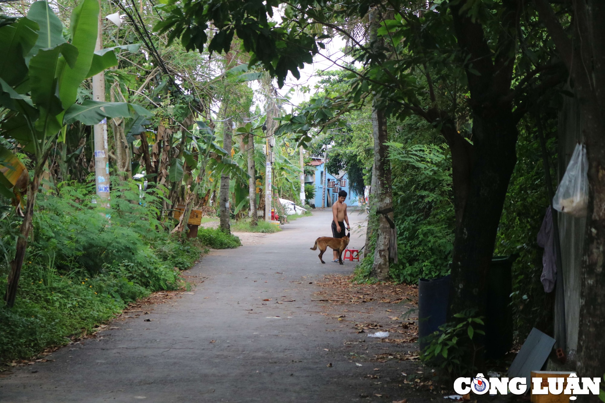tp hcm can canh doi song kho tin cua nguoi dan o ban dao thanh da hinh 4