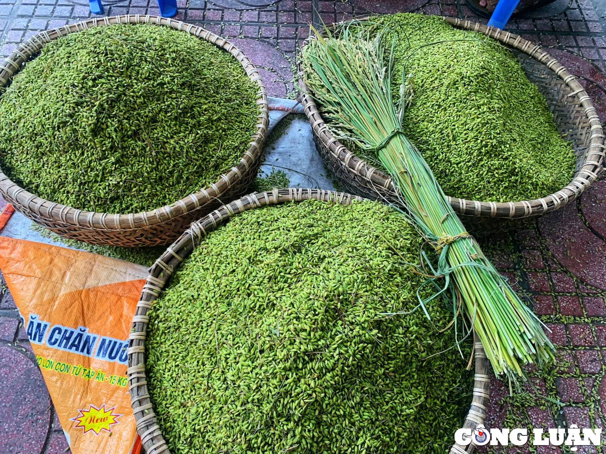 kham pha lang nghe lam com moc doc dao o ha noi hinh 1