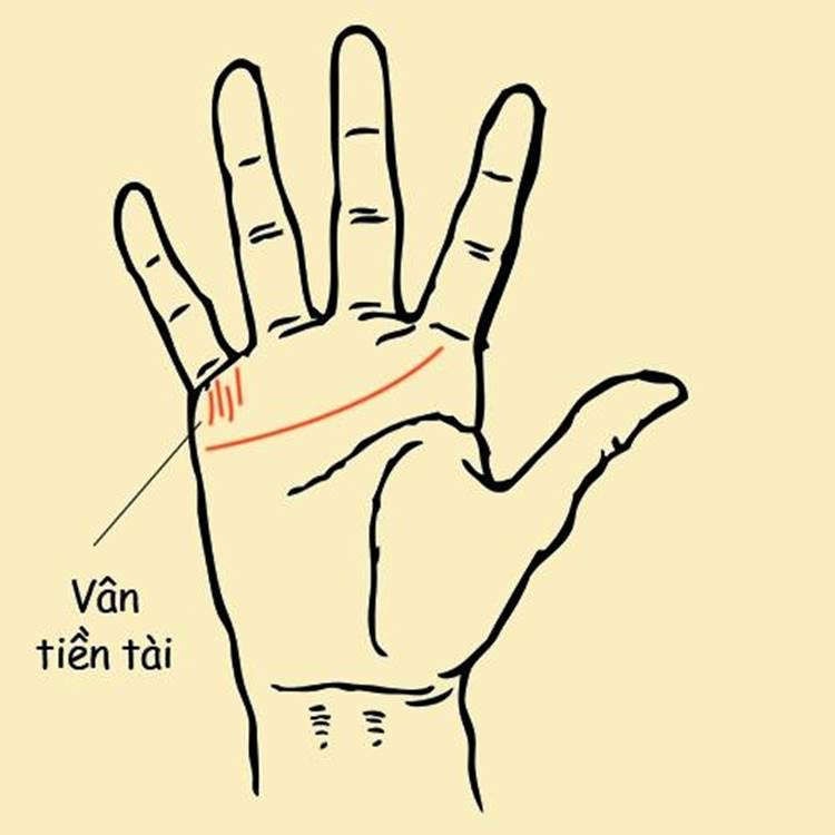 5 tuong ban tay cua nguoi phu nu giau sang phu quy hanh phuc vien man hinh 1