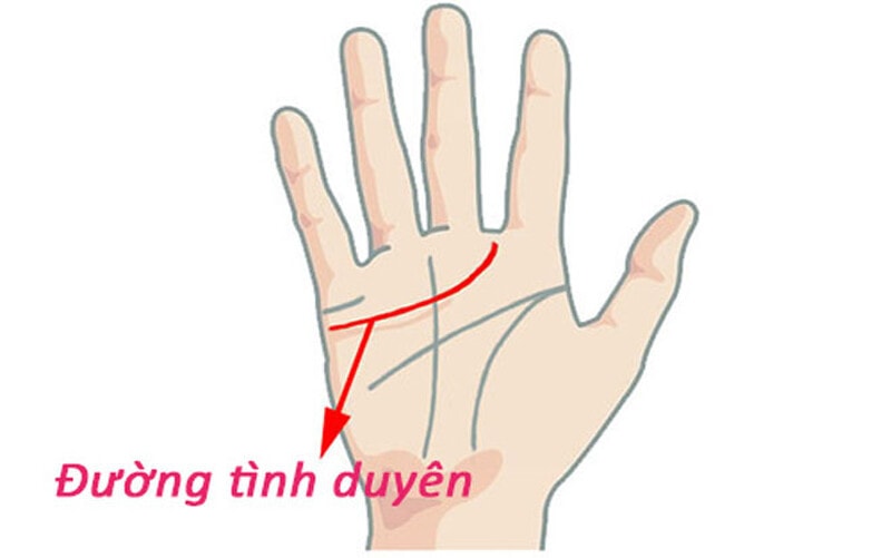 5 tuong ban tay cua nguoi phu nu giau sang phu quy hanh phuc vien man hinh 4