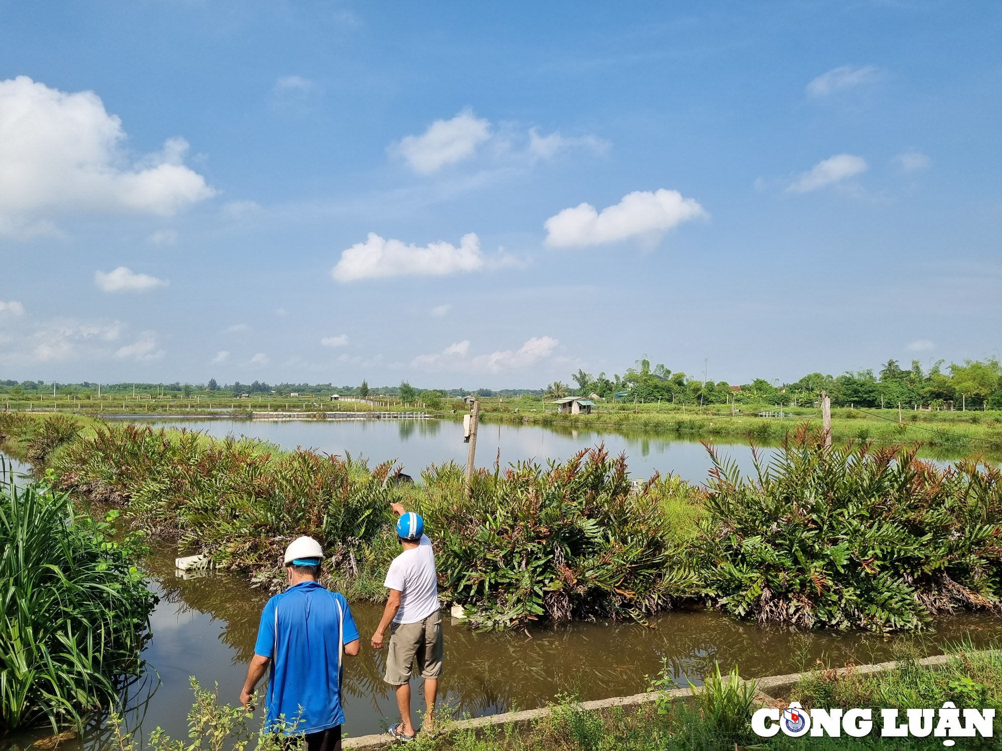 vu xa cho thue dat trai tham quyen chua thanh ly duoc hop dong vi doi boi thuong cao hinh 2