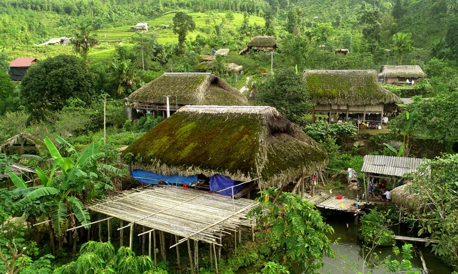 doc la nhung mai nha phu reu xanh cua dan toc dao o ha giang hinh 2