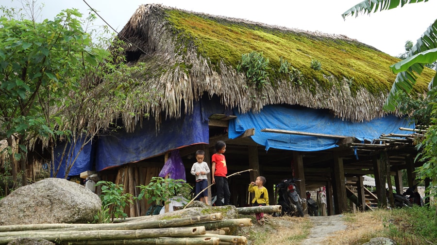 doc la nhung mai nha phu reu xanh cua dan toc dao o ha giang hinh 5