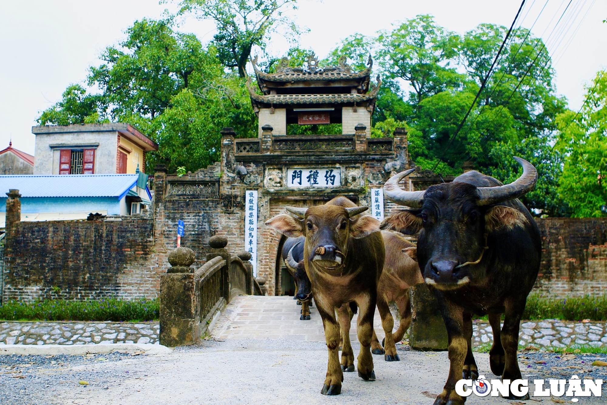 kham pha ngoi lang co ha noi giu net kien truc cua nguoi viet xua hinh 1