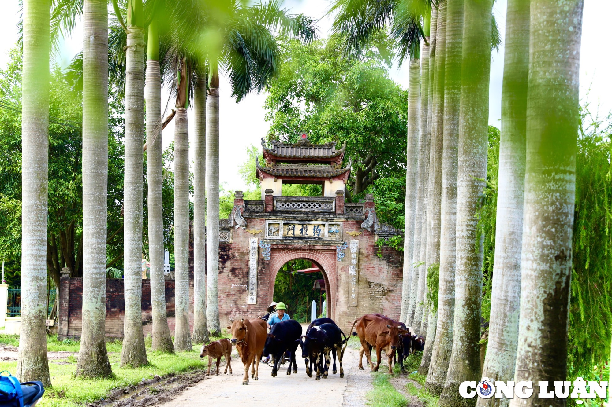 kham pha ngoi lang co ha noi giu net kien truc cua nguoi viet xua hinh 9