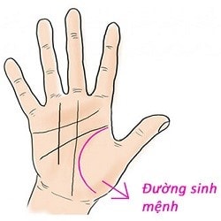 duong sinh menh du bao ve suc khoe va tuoi tho cua ban hinh 1