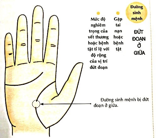 duong sinh menh du bao ve suc khoe va tuoi tho cua ban hinh 2