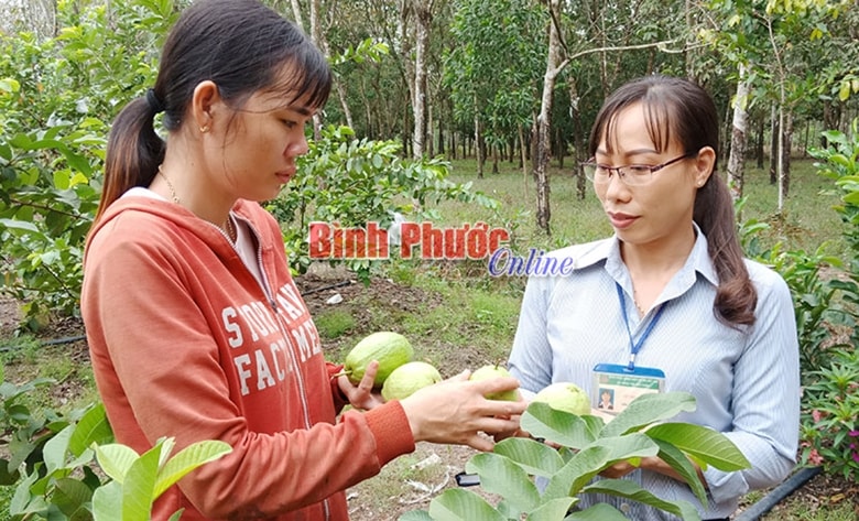 binh phuoc nhieu hoat dong thiet thuc ho tro phu nu dan toc ton giao phat trien kinh te hinh 2