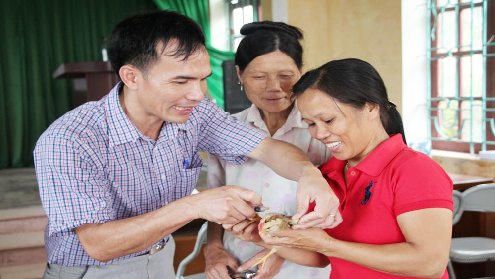 bac giang day manh cong tac dao tao nghe cho nguoi lao dong vung dong bao dan toc thieu so hinh 2
