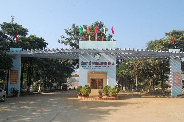 mia duong son la sls loi nhuan quy 4 giam 18 chot tra co tuc bang tien mat ty le 100 hinh 1