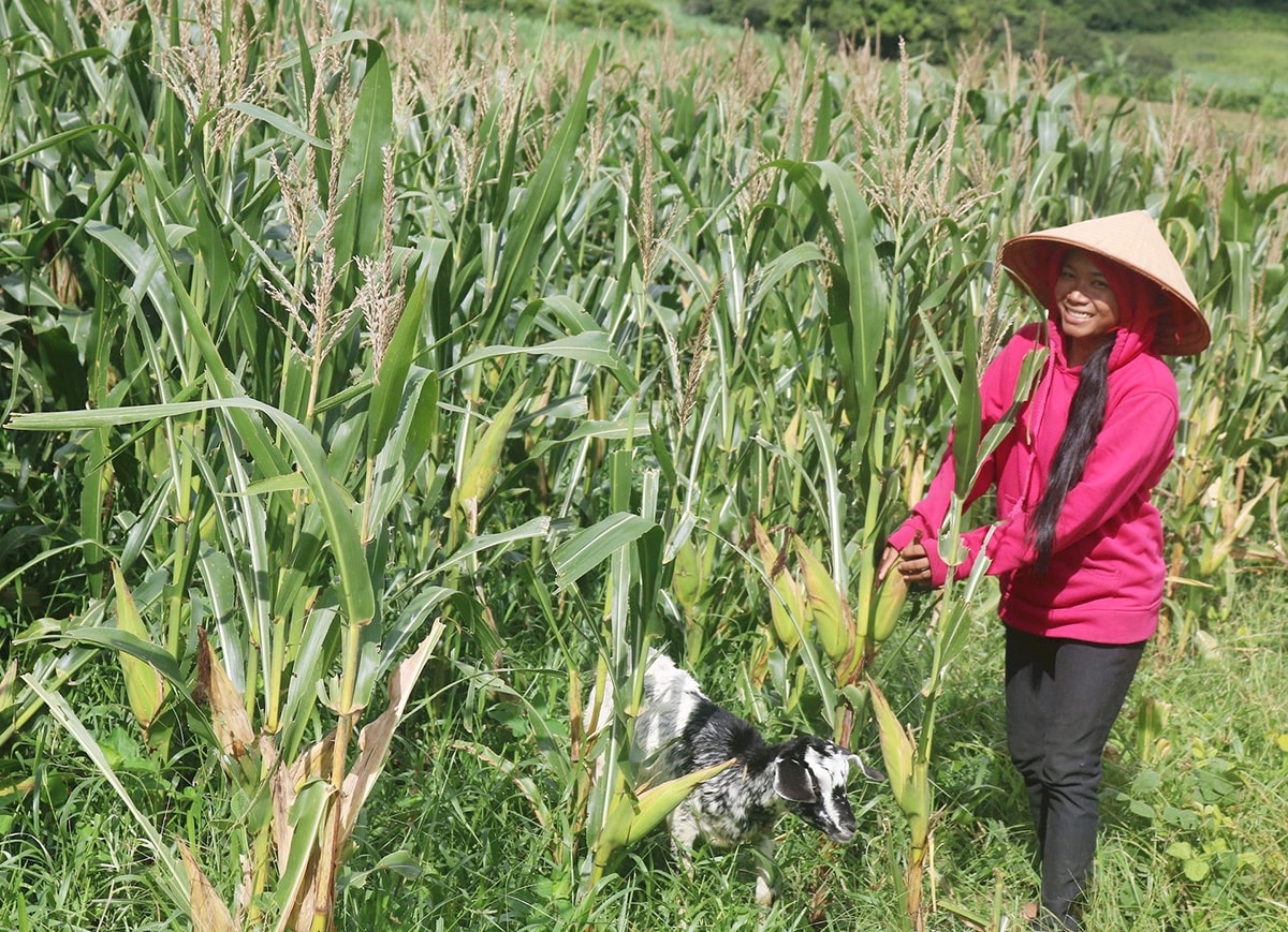 vung dong bao dan toc thieu so binh thuan khoi sac nho cac chinh sach dac thu quan trong hinh 3