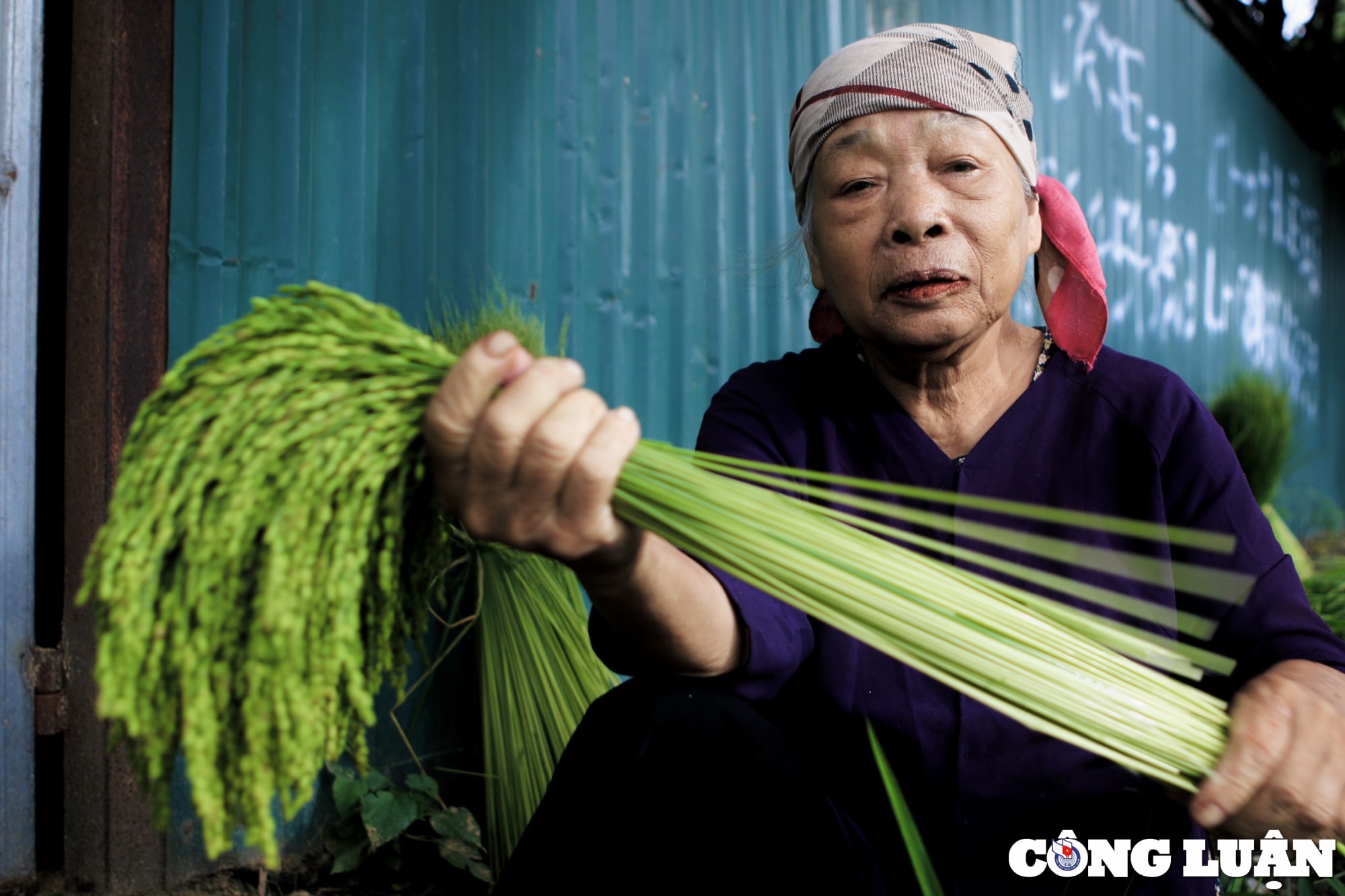 nguoi lang me tri tat bat vao vu com lon nhat trong nam hinh 6