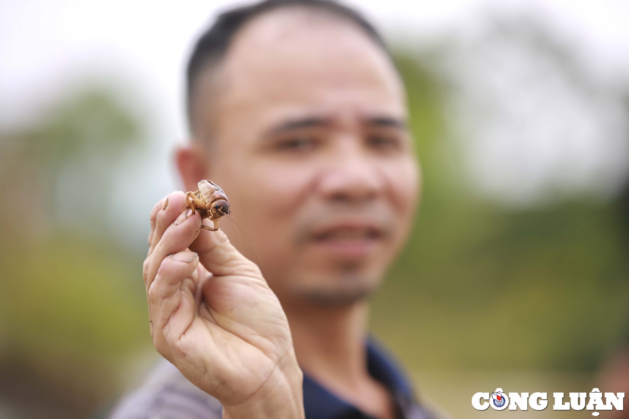 nghe an anh huong bao noru nhieu xa bi chia cat trong bien nuoc hinh 26