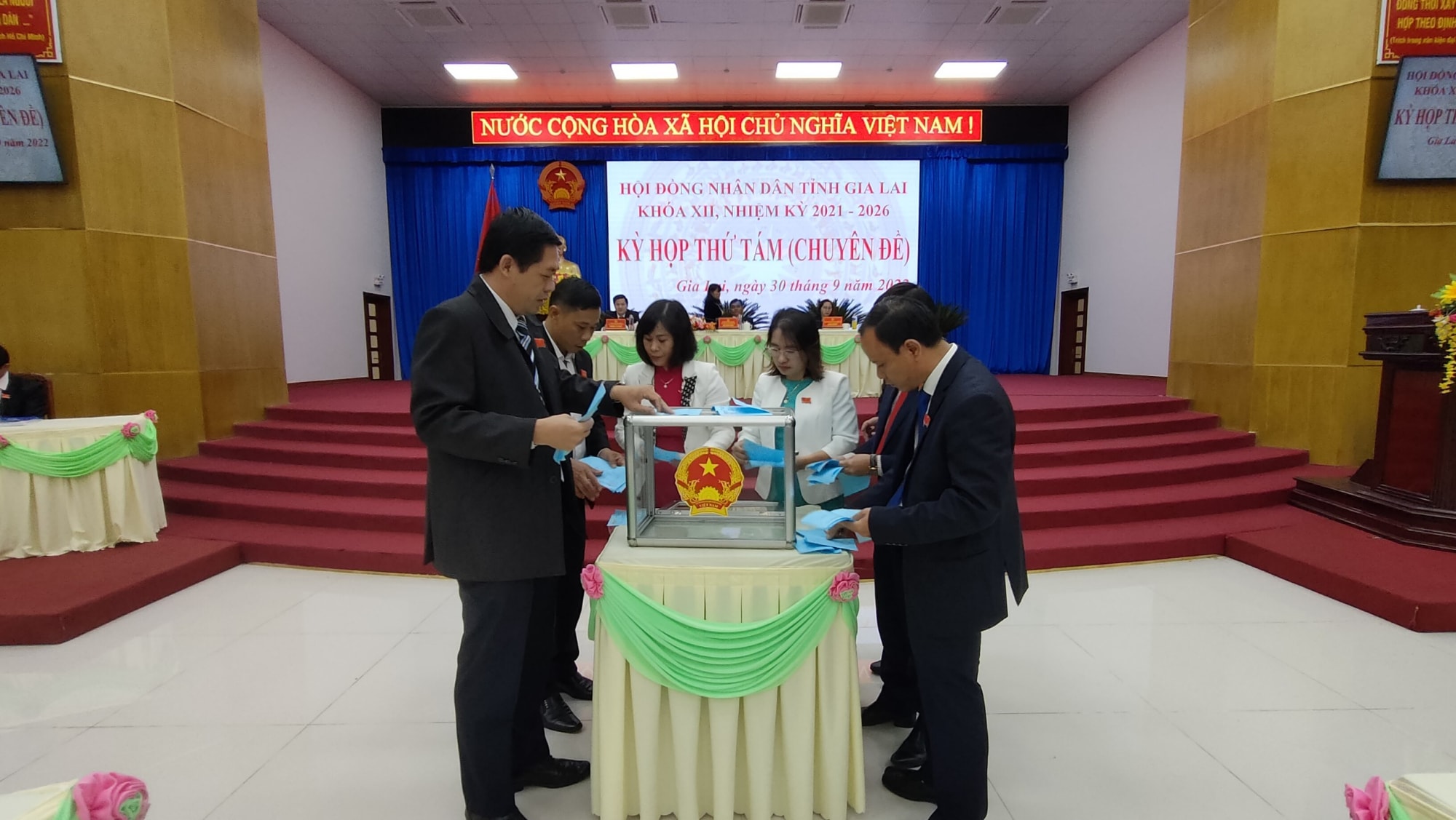 nguyen chu tich tinh gia lai vo ngoc thanh xin thoi lam dai bieu hdnd vi suc khoe khong dam bao hinh 1