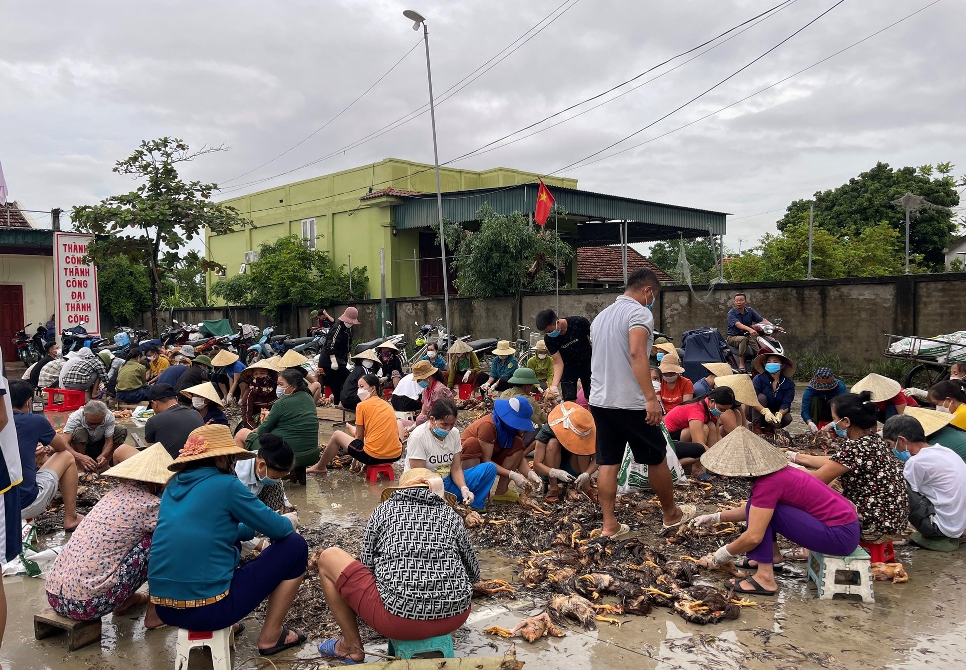 am long tinh lang nghia xom trong mua lu hinh 2