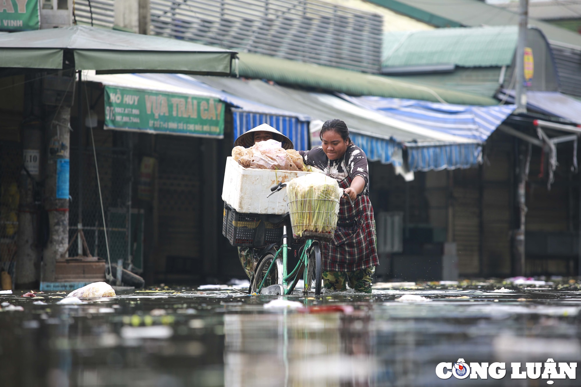 nghe an cho vinh ngap sau sau mua lon hinh 13