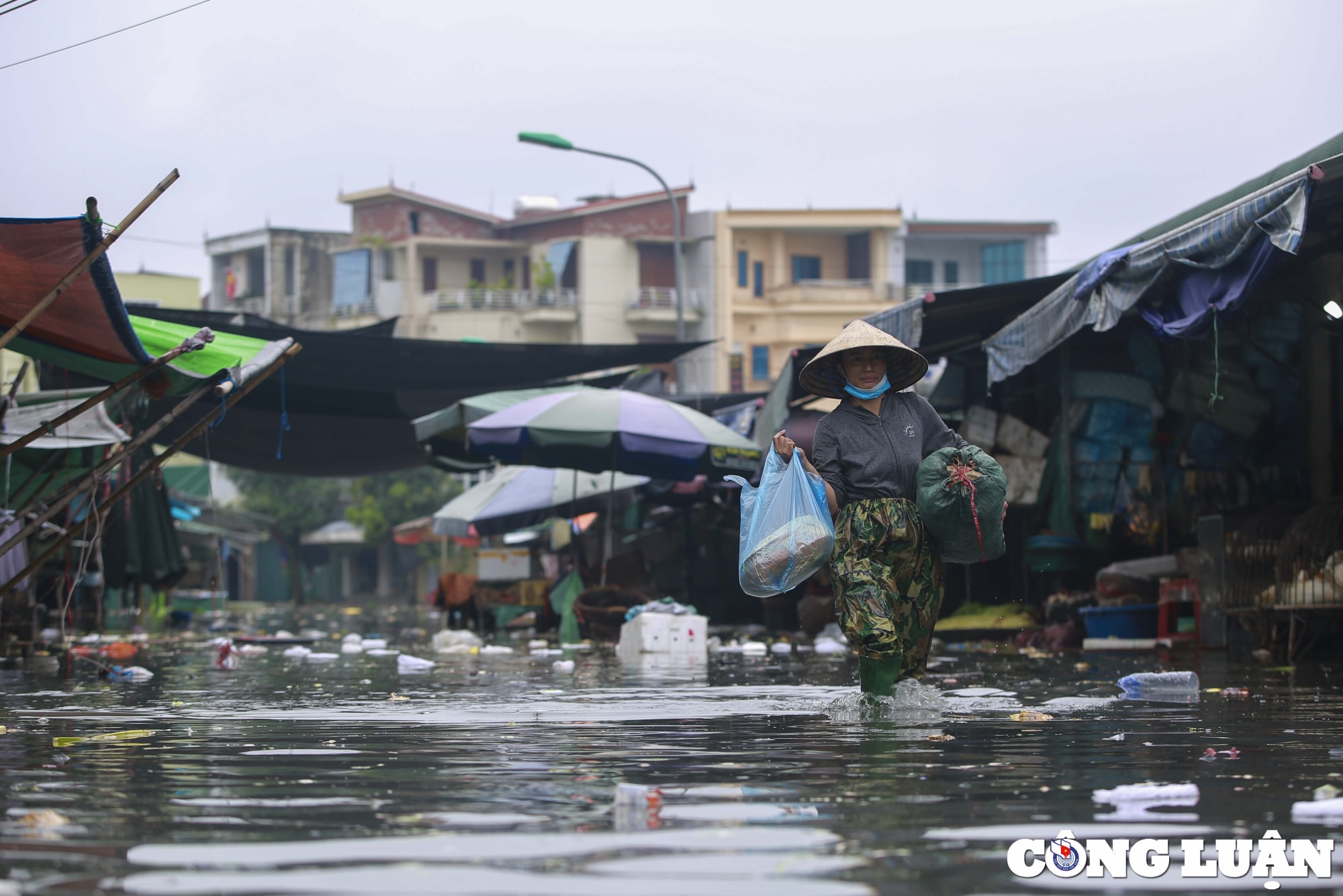 nghe an cho vinh ngap sau sau mua lon hinh 5