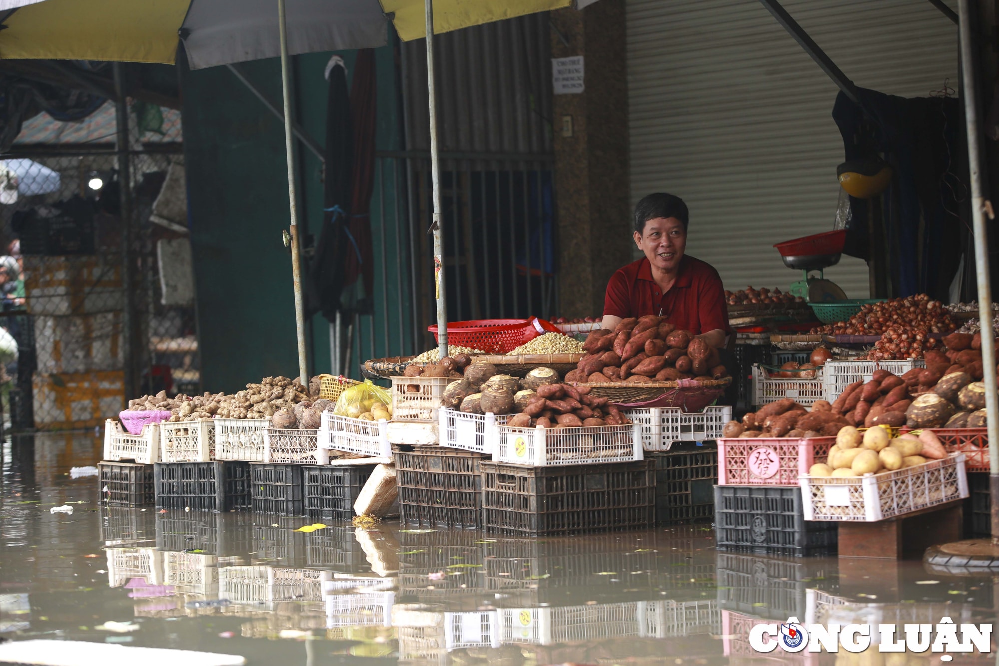 nghe an cho vinh ngap sau sau mua lon hinh 9