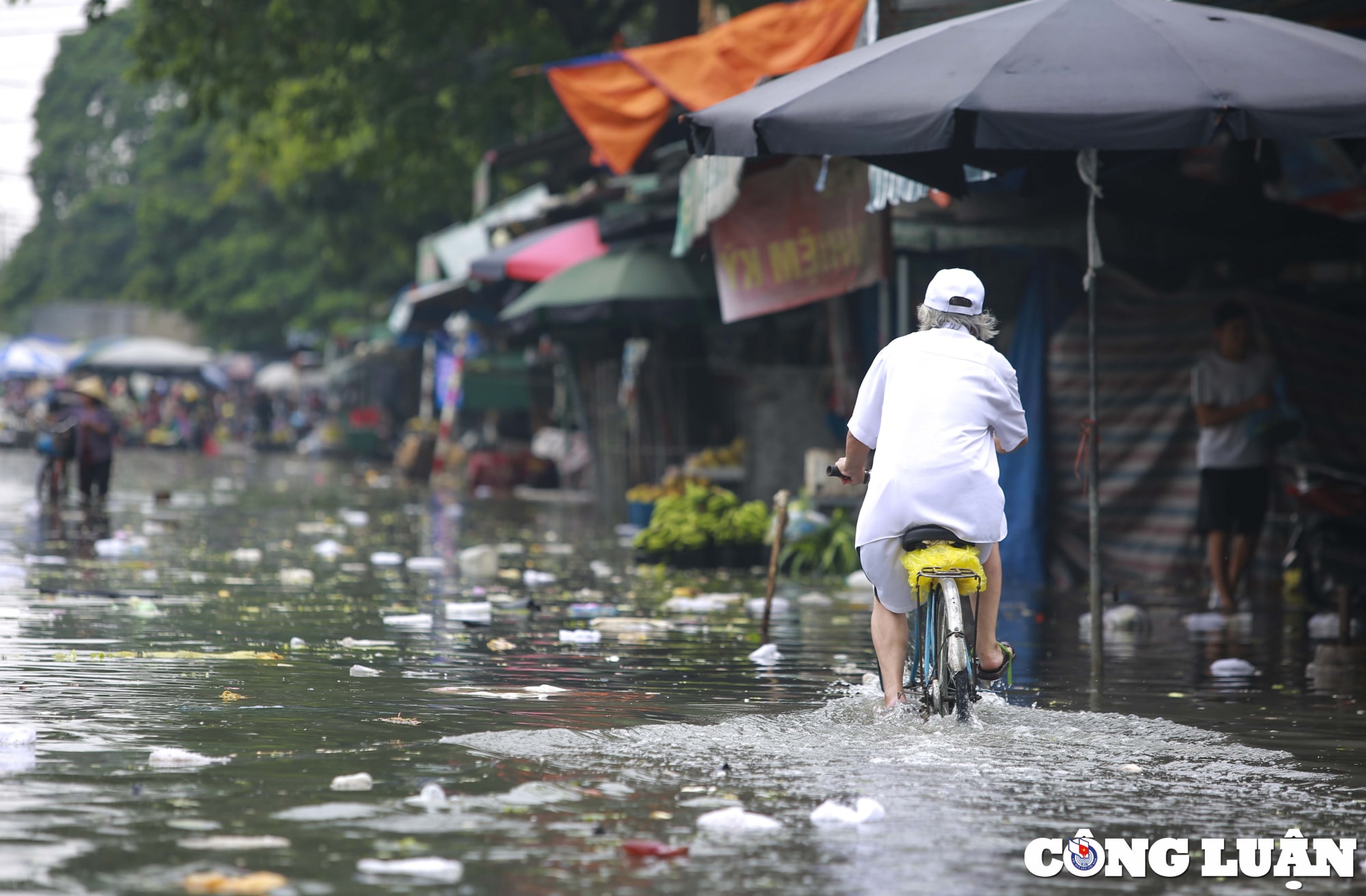nghe an cho vinh ngap sau sau mua lon hinh 15