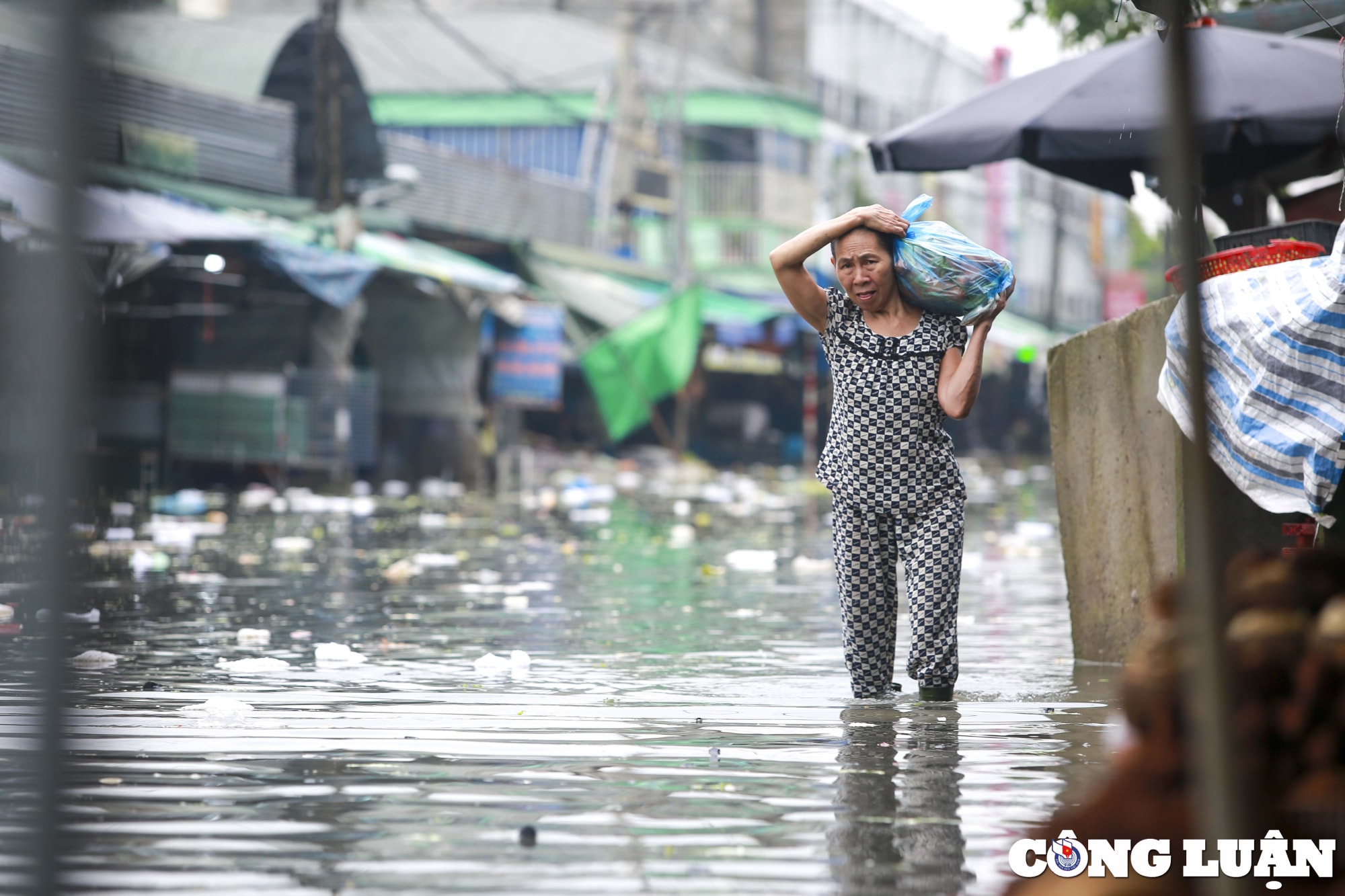 nghe an cho vinh ngap sau sau mua lon hinh 6
