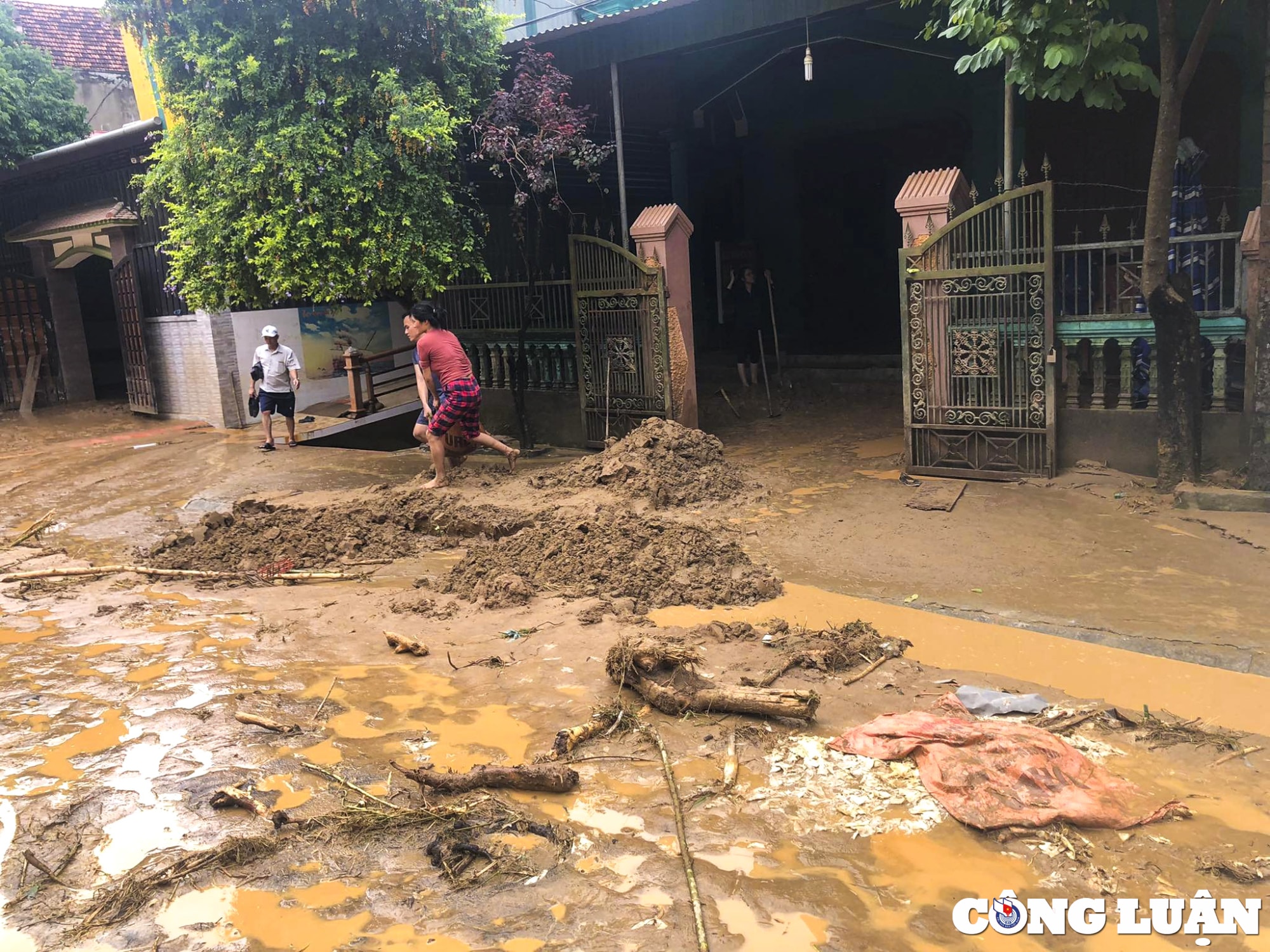 nghe an bun dat phu kin duong cao hon 1m sau tran lu quet o huyen ky son hinh 13