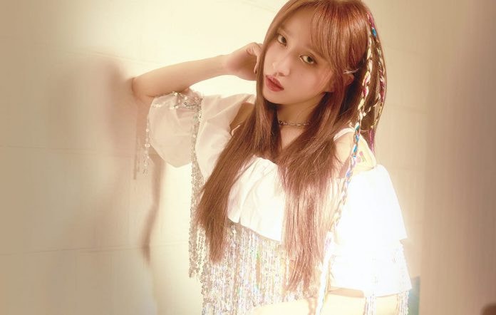 hani mua lai quyen so huu ten exid cac fan hao huc doi ca khuc moi hinh 1