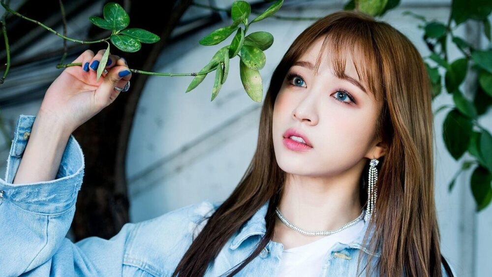 hani mua lai quyen so huu ten exid cac fan hao huc doi ca khuc moi hinh 4
