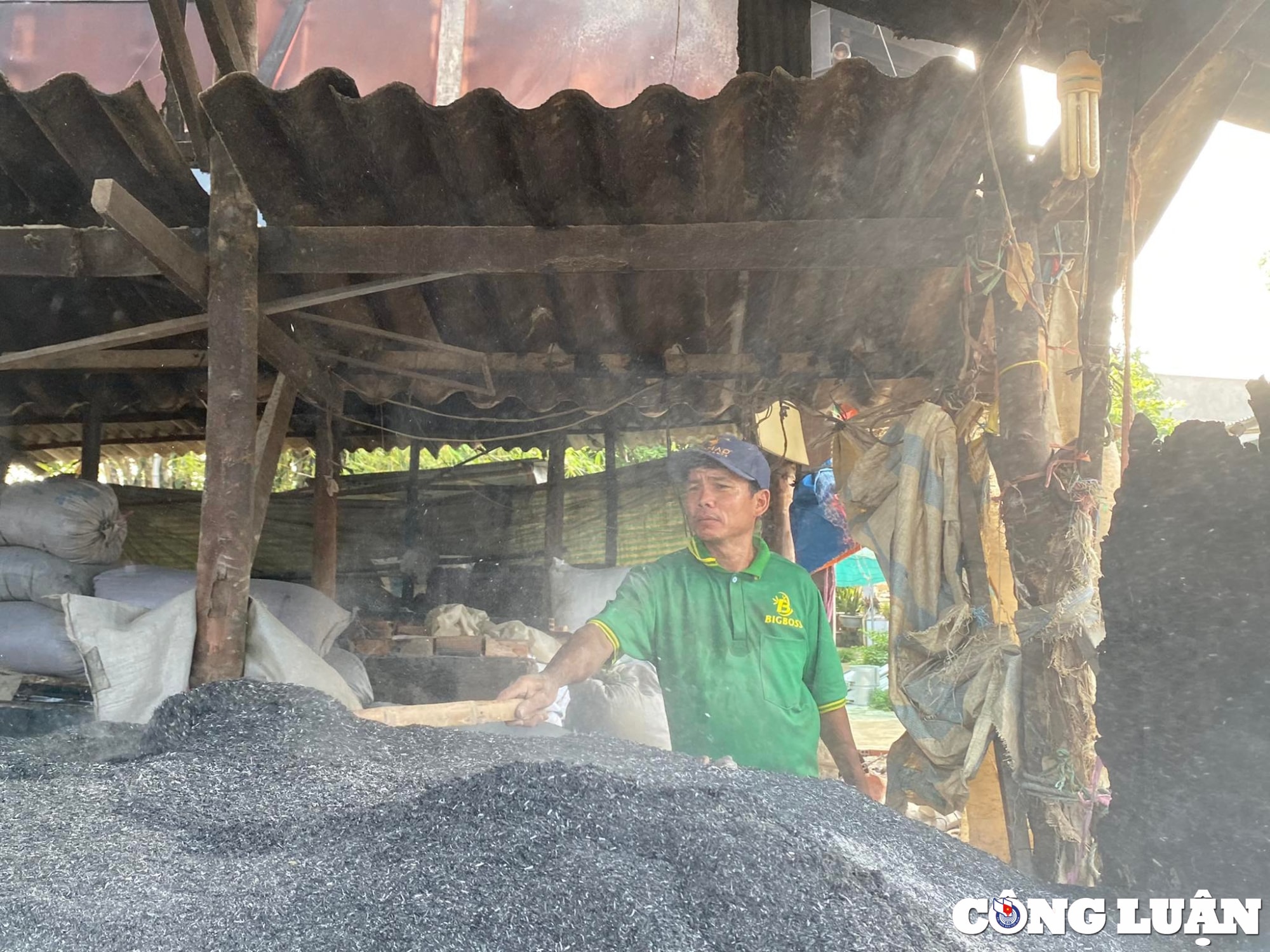 lang nghe duc lo bang dat set tai an giang noi lo bi mai mot hinh 14