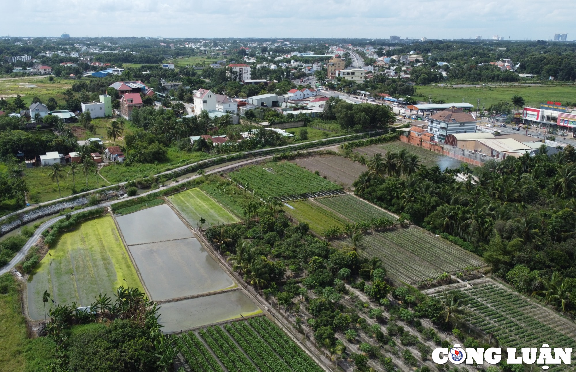mua nham du an huy dong von trai phep trach nhiem thuoc ve nguoi dan hinh 3