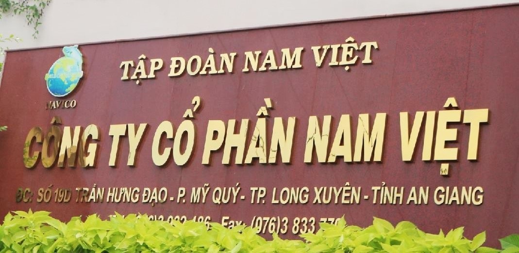 nam viet avn no vay tang 300 ty dong trong nua nam chot tra co tuc bang tien mat ty le 10 hinh 1