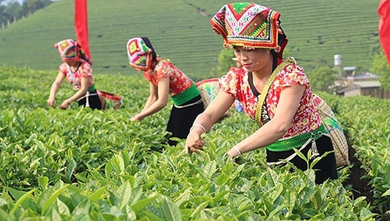 tien do chuong trinh trien khai rat cham hinh 2