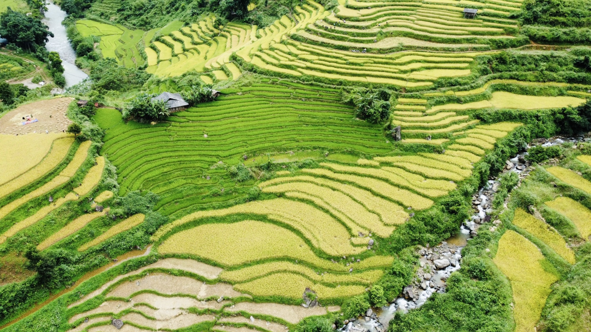 trai nghiem cam giac cuc manh voi cung duong deo 15 tang khau coc cha hinh 13