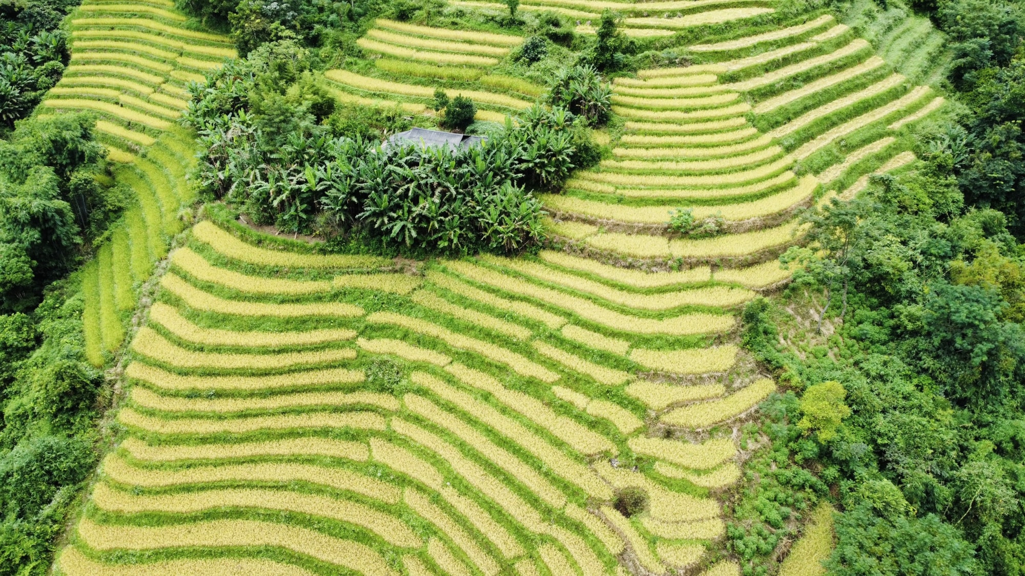 trai nghiem cam giac cuc manh voi cung duong deo 15 tang khau coc cha hinh 12