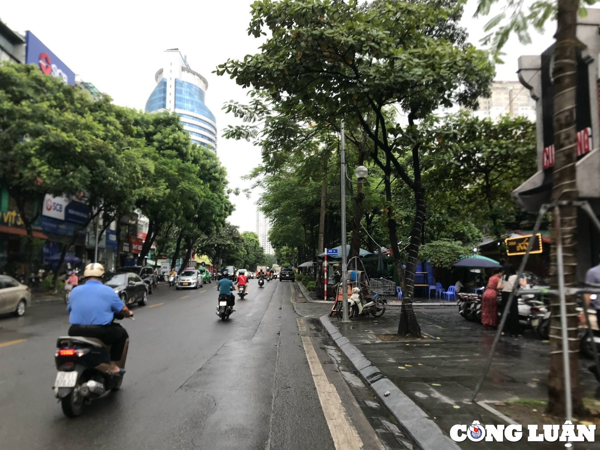 ha noi bat cap trong quan ly cham soc duy tri he thong cay xanh hinh 2