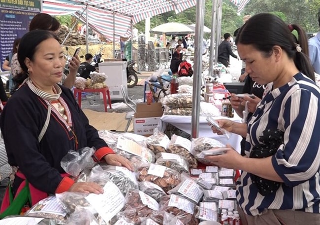 ha noi ban hanh ke hoach ve trien khai du an 8 thuoc chuong trinh mtqg vung dong bao dan toc thieu so hinh 1