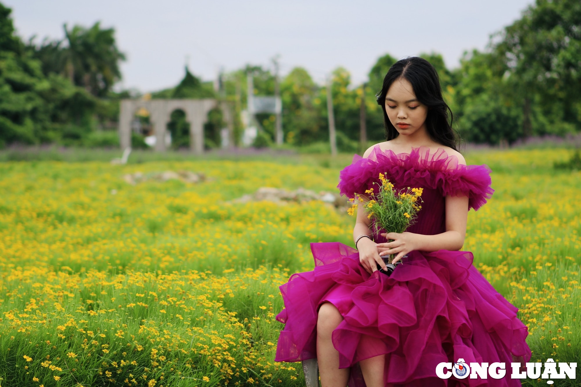 gioi tre no nuc den check in o vuon hoa cuc sao bang tai ha noi hinh 8