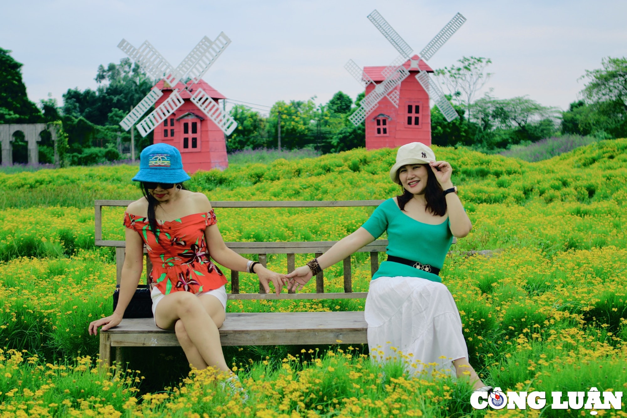 gioi tre no nuc den check in o vuon hoa cuc sao bang tai ha noi hinh 5