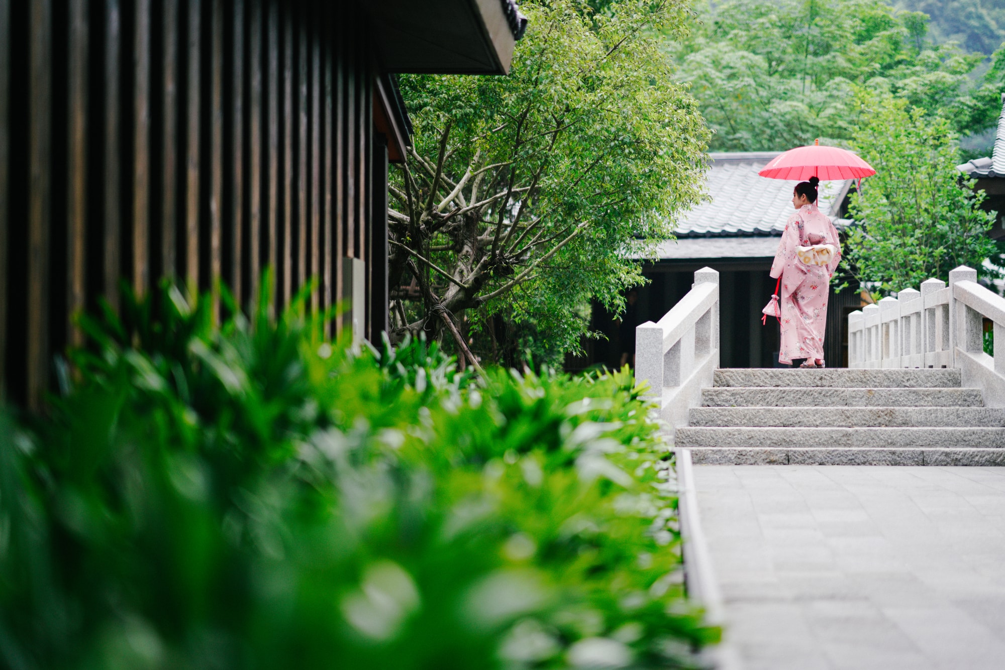 den yoko onsen quang hanh de tim ve suoi nguon thanh xuan hinh 6
