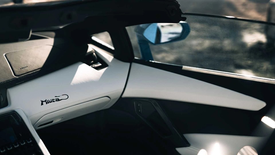 can canh chiec lamborghini aventador cuoi cung hinh 9